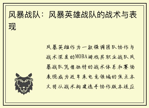 风暴战队:风暴英雄战队的战术与表现